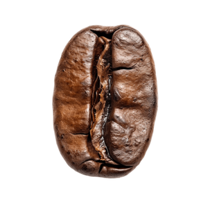 Arabica Coffee