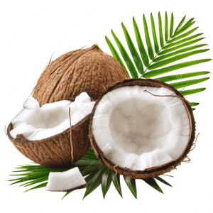 Coconut Milk