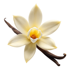 Vanilla